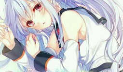 动漫里的,动漫世界里的奇幻冒险之旅